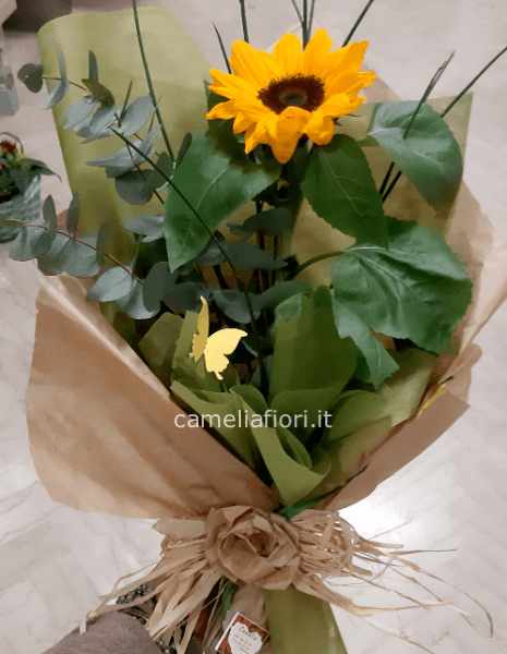 Girasole