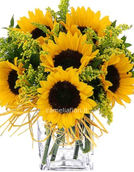 Bouquet di girasoli